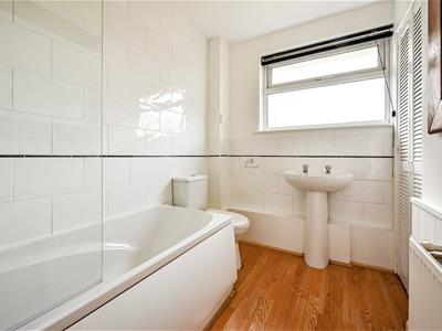 Picture 15